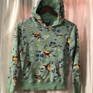 Polo hooded sweatshirt